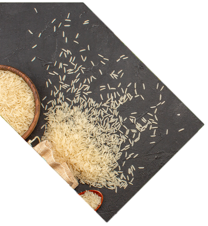 Basmati Rice Exporter in Canada
