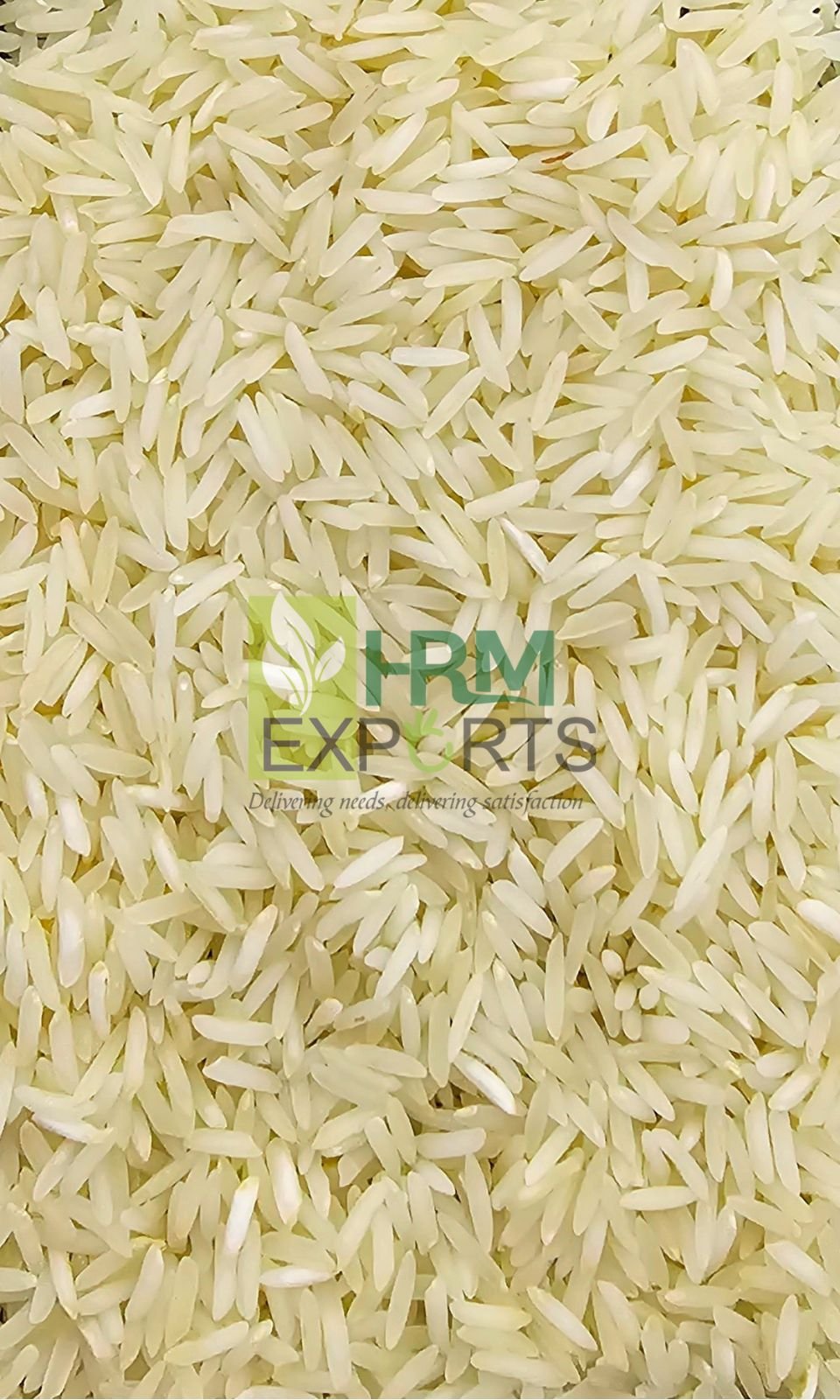 SUGANDHA RAW RICE