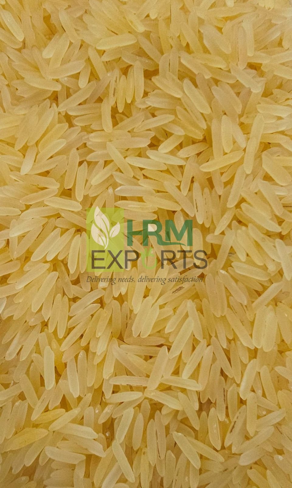 SHARBATI GOLDEN SELLA RICE