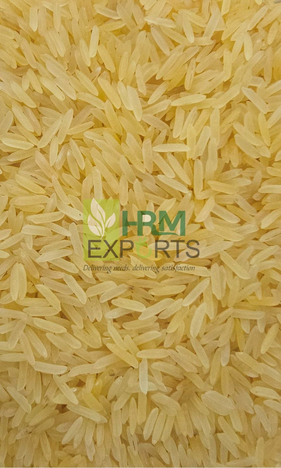 PR14 GOLDEN SELLA RICE