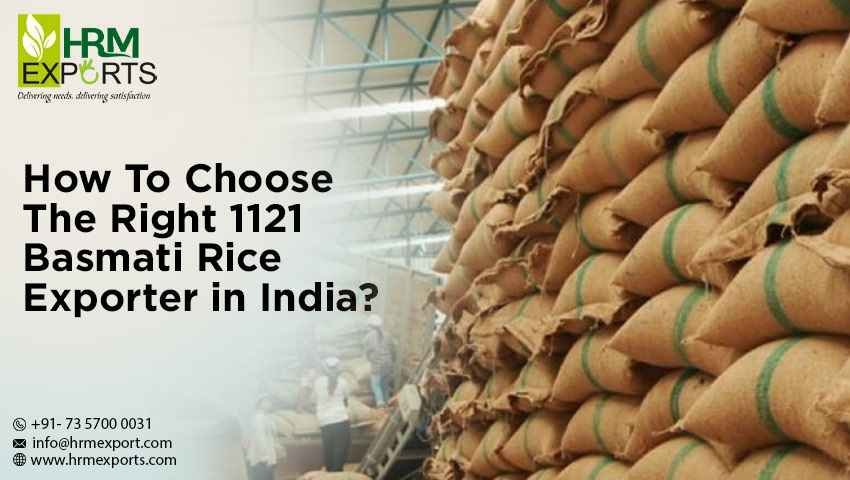 How To Choose The Right 1121 Basmati Rice Exporter in India?