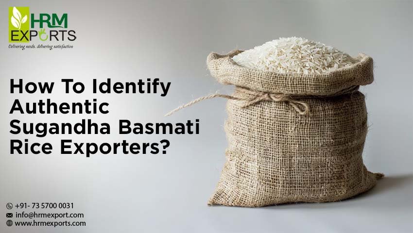 How To Identify Authentic Sugandha Basmati Rice Exporters?
