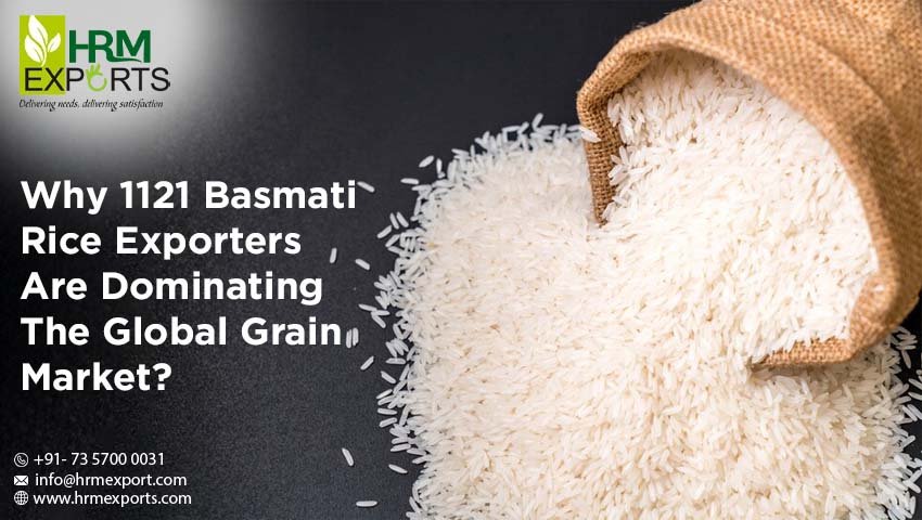 Why 1121 Basmati Rice Exporters Are Dominating The Global Grain Market?