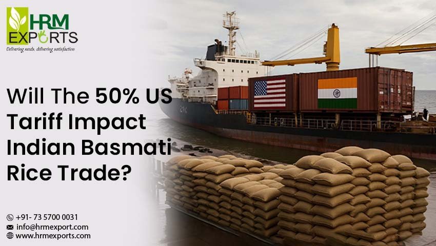 Will the 50% US Tariff Impact Indian Basmati Rice Trade?