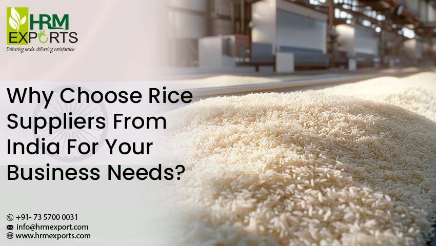 Why Choose Rice Suppliers From India For Your Business Needs?