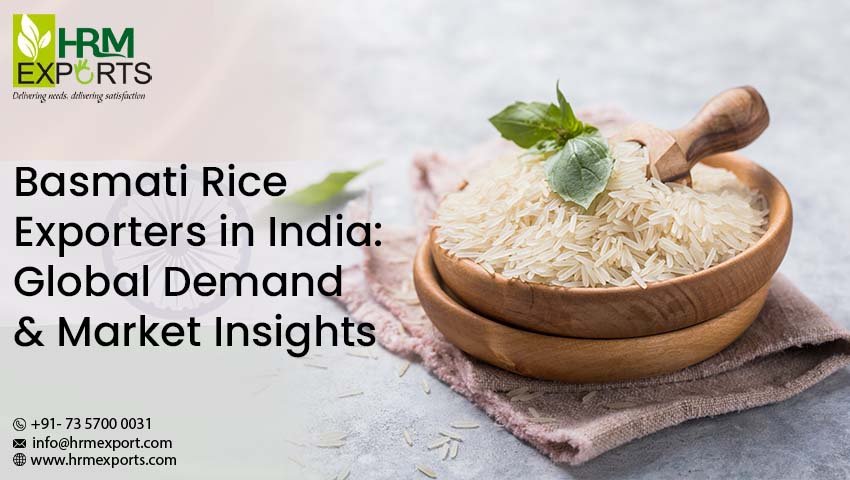 Basmati Rice Exporters in India: Global Demand & Market Insights