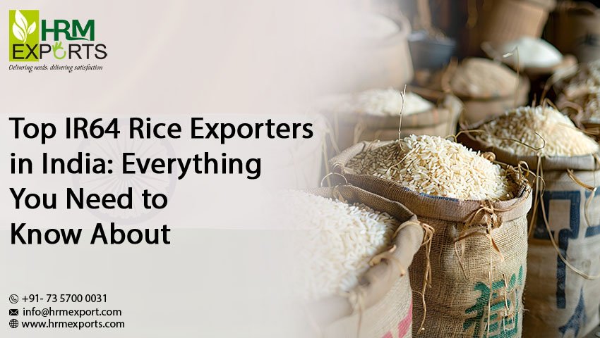 Top IR64 Rice Exporters in India: Everything You Need to Know About