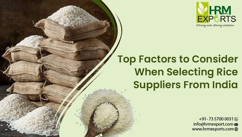 Top Factors to Consider When Selecting Rice Suppliers From India